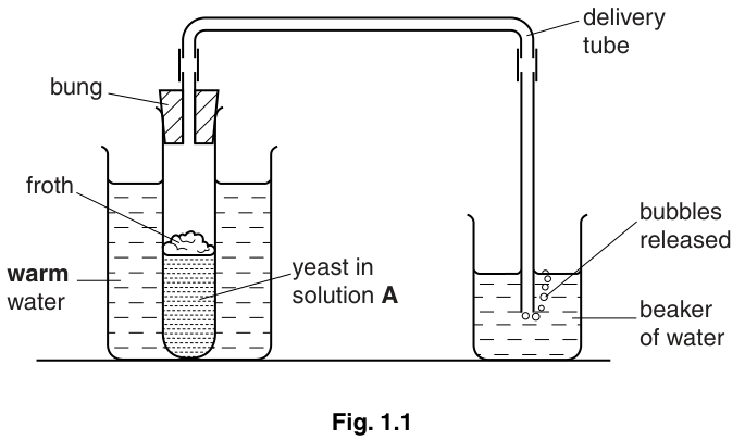 Fig. 1.1