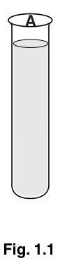 Fig. 1.1