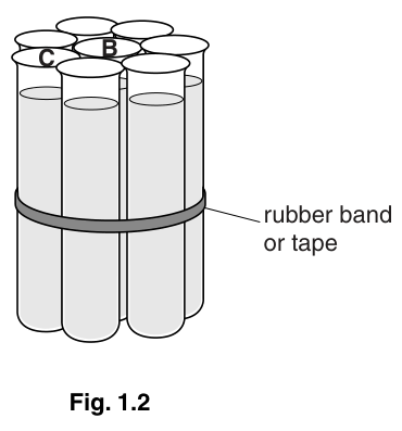 Fig. 1.2