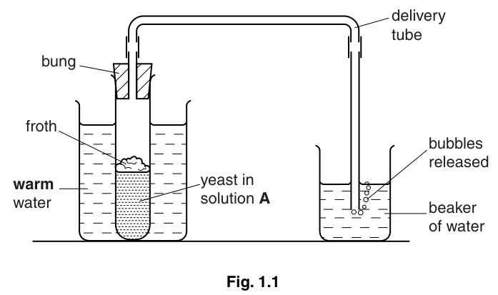 Fig. 1.1