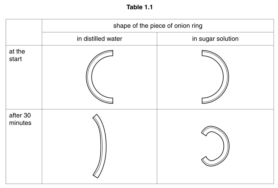 Table 1.1