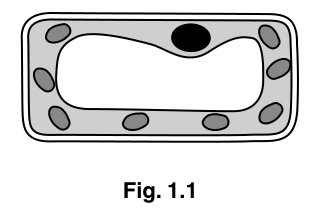 Fig. 1.1