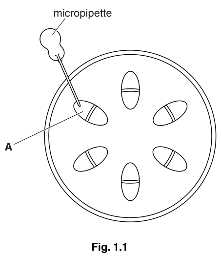 Fig. 1.1