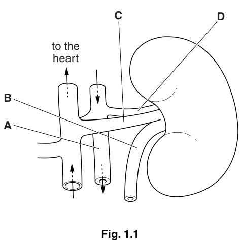Fig. 1.1