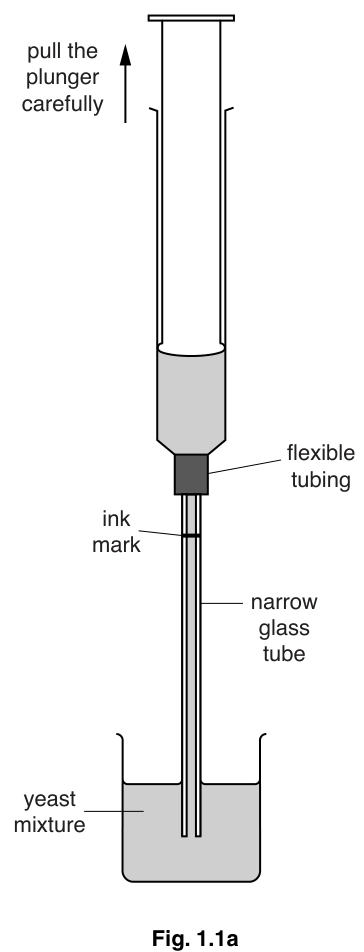 Fig. 1.1a