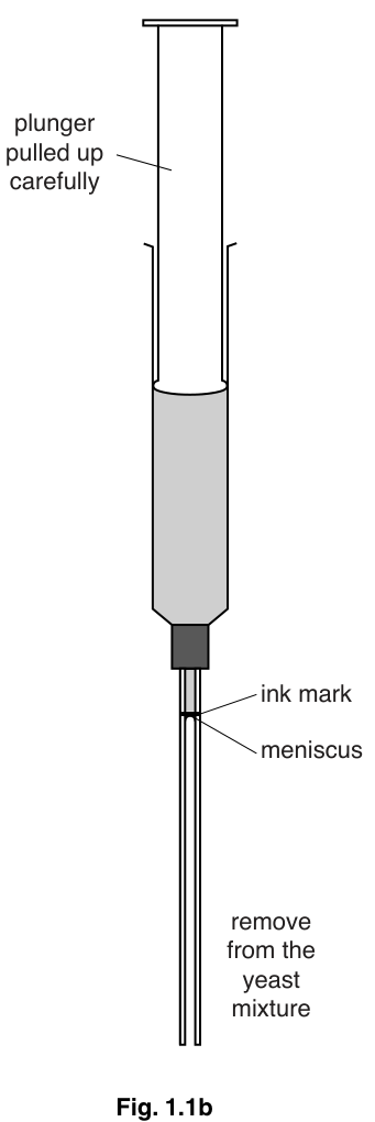 Fig. 1.1b