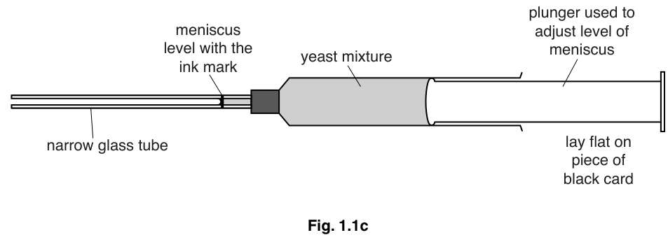 Fig. 1.1c