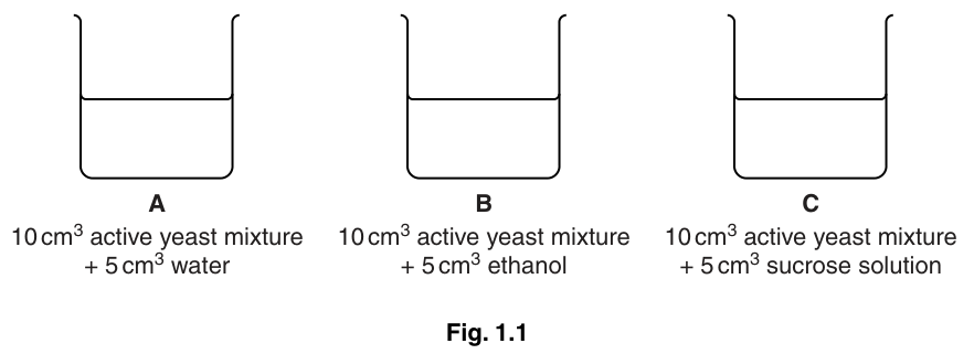 Fig. 1.1