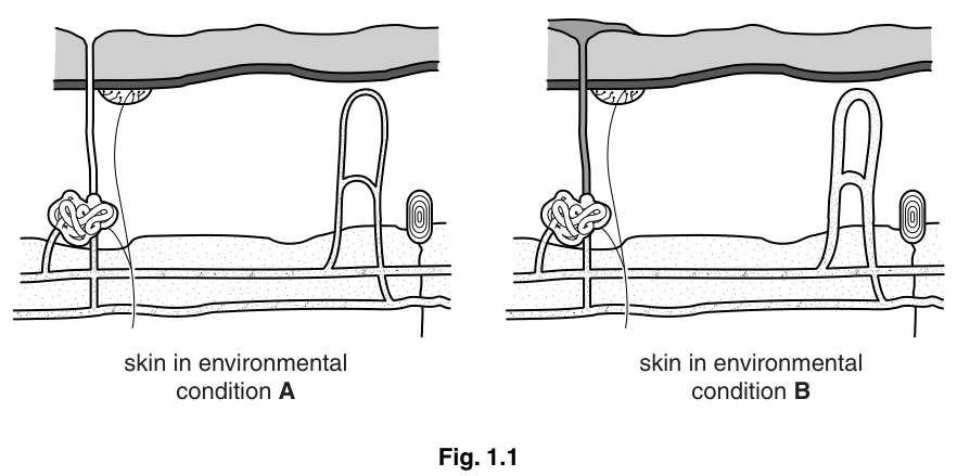 Fig. 1.1