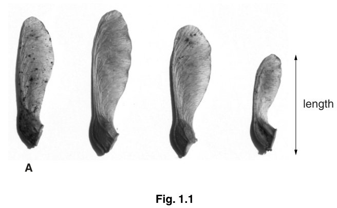 Fig. 1.1