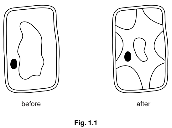 Fig. 1.1