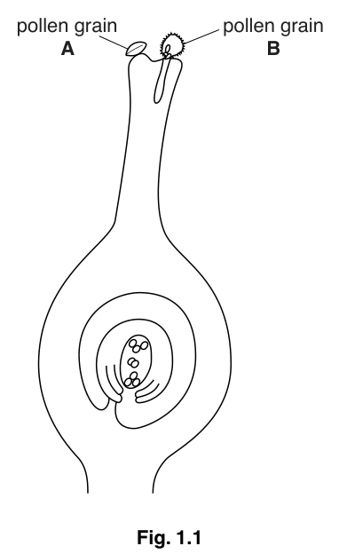 Fig. 1.1