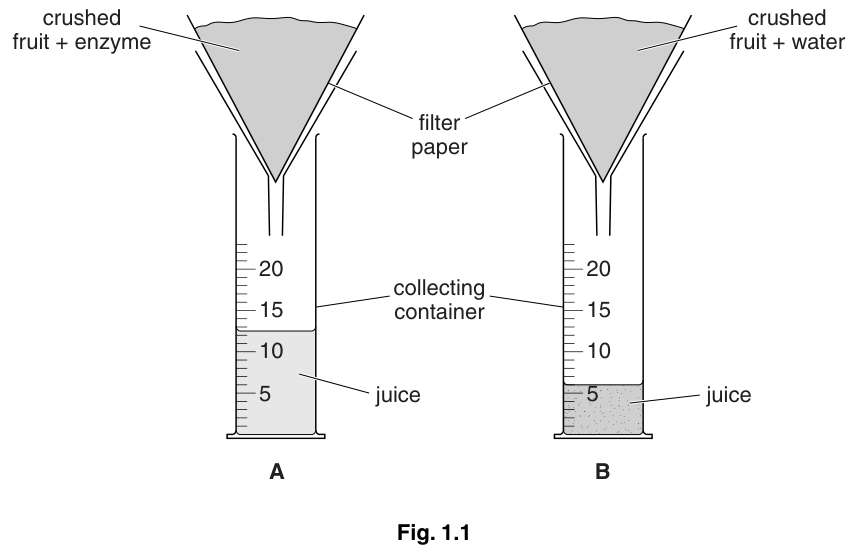 Fig. 1.1