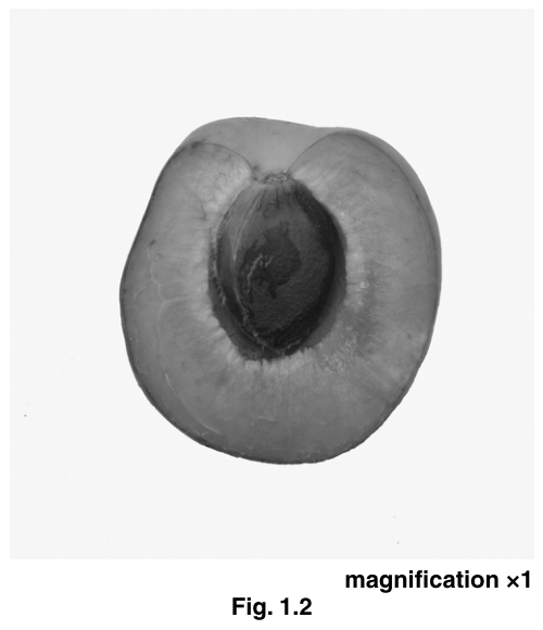Fig. 1.2