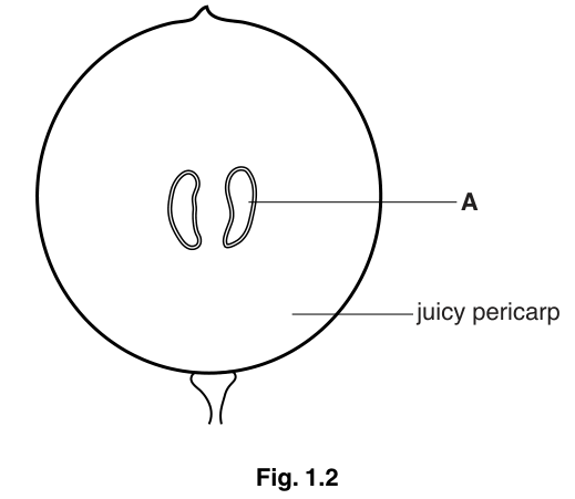 Fig. 1.2