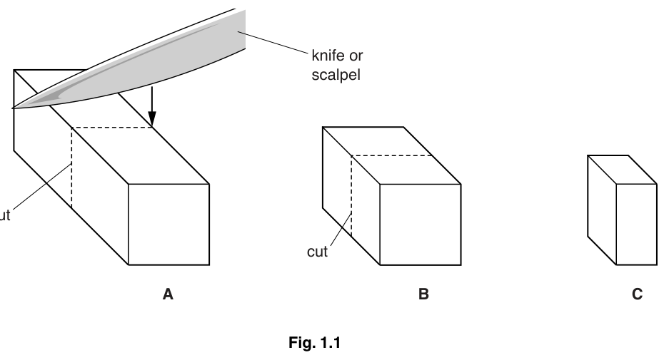 Fig. 1.1