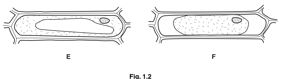 Fig. 1.2