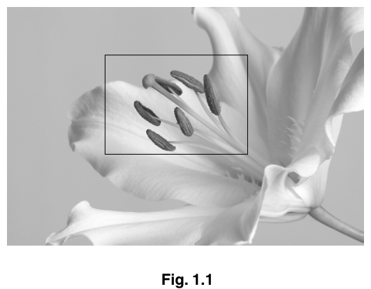 Fig. 1.1