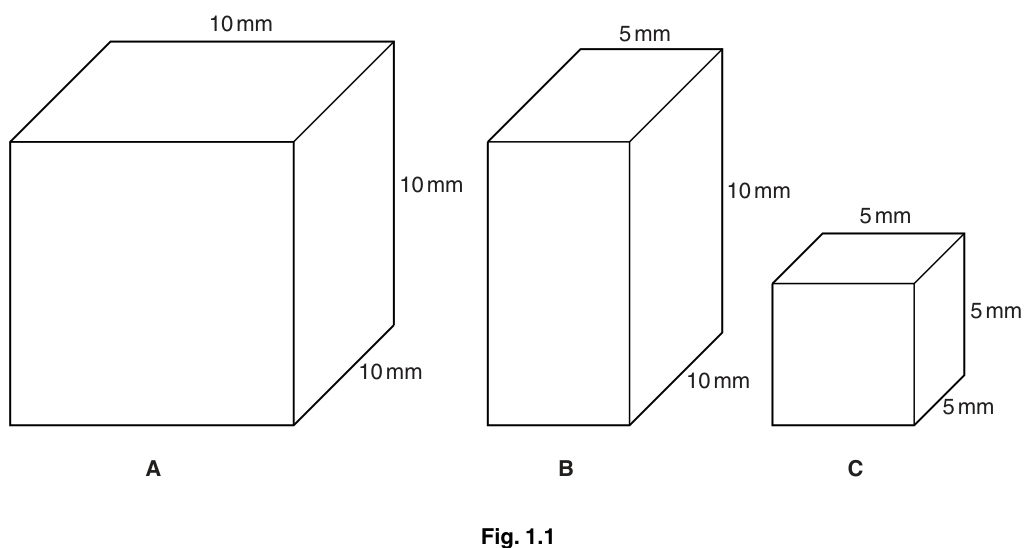 Fig. 1.1