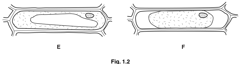 Fig. 1.2
