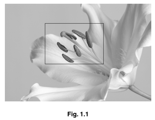 Fig. 1.1
