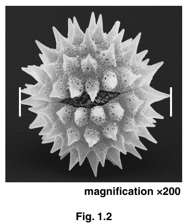 Fig. 1.2