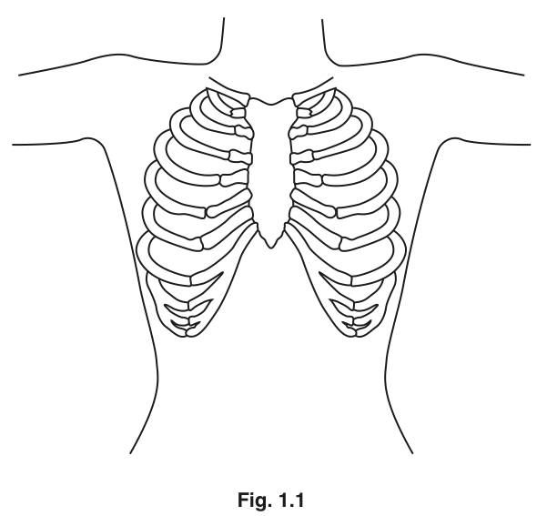 Fig. 1.1