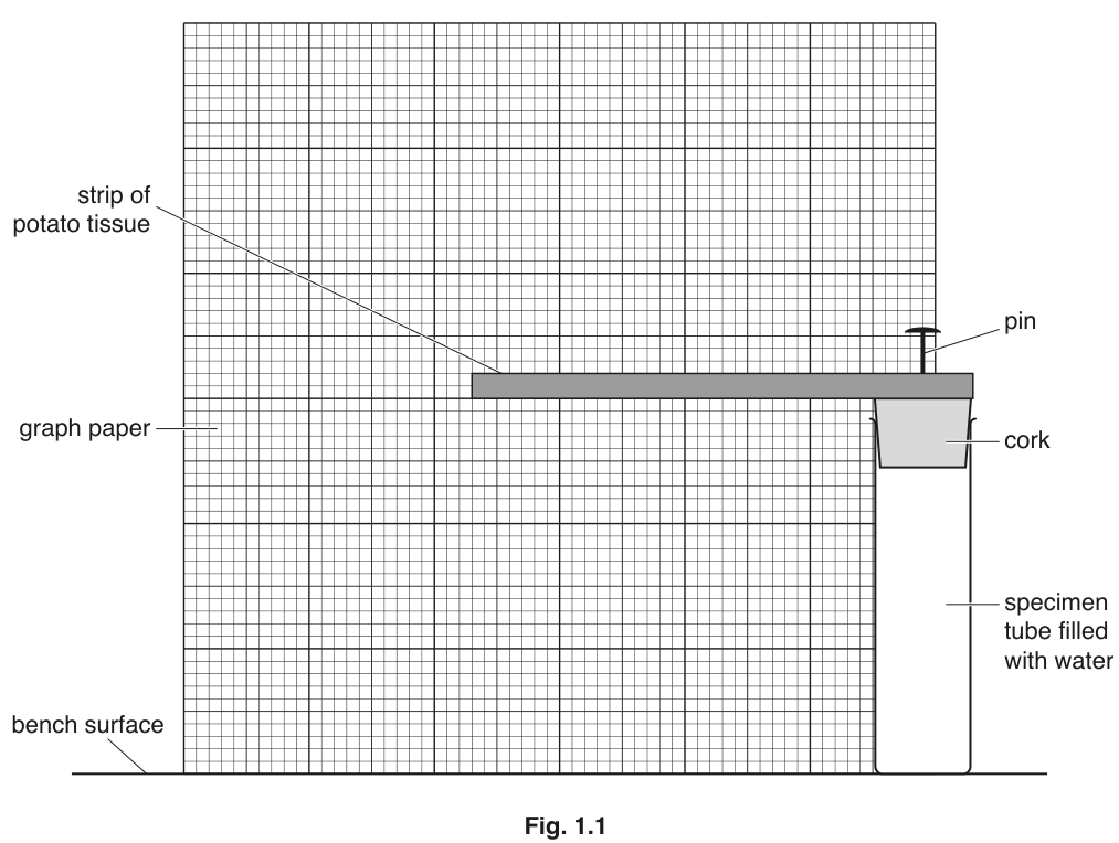 Fig. 1.1