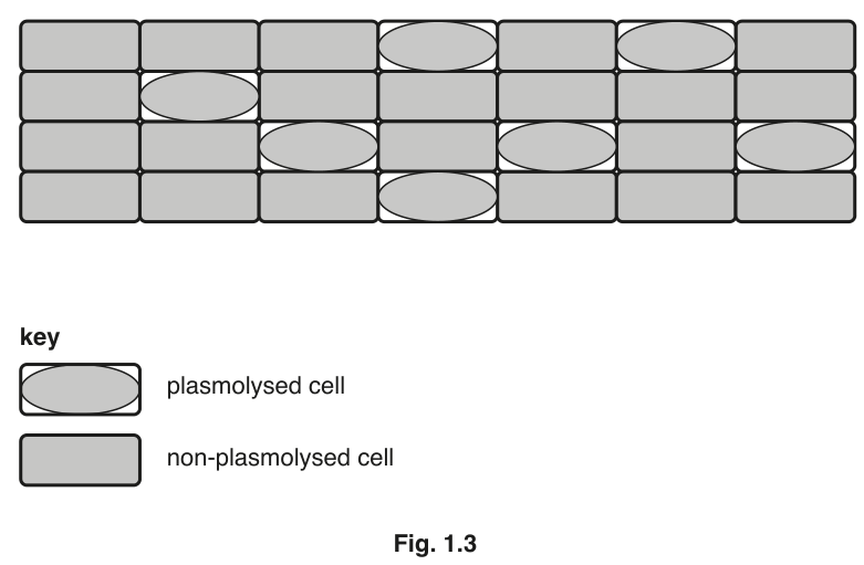 Fig. 1.3