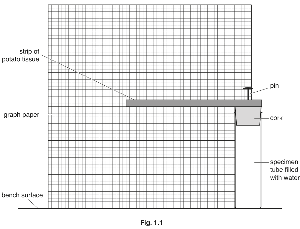 Fig. 1.1