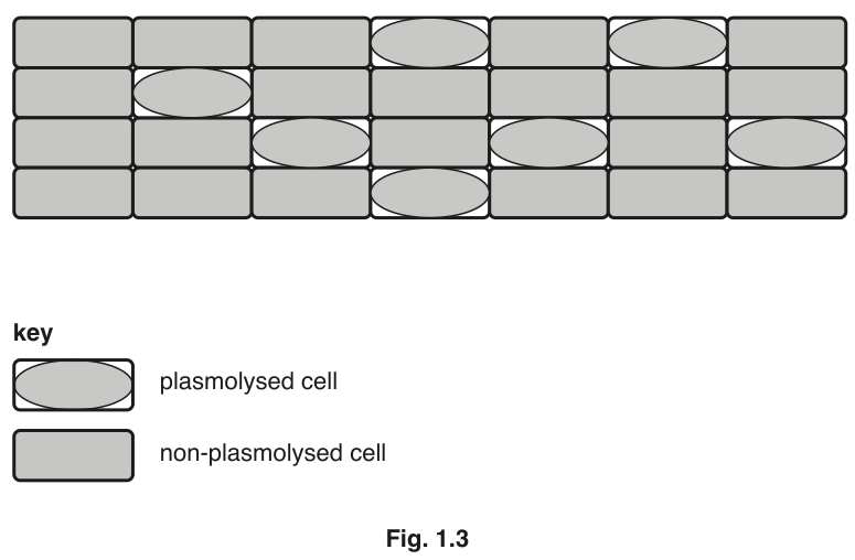 Fig. 1.3