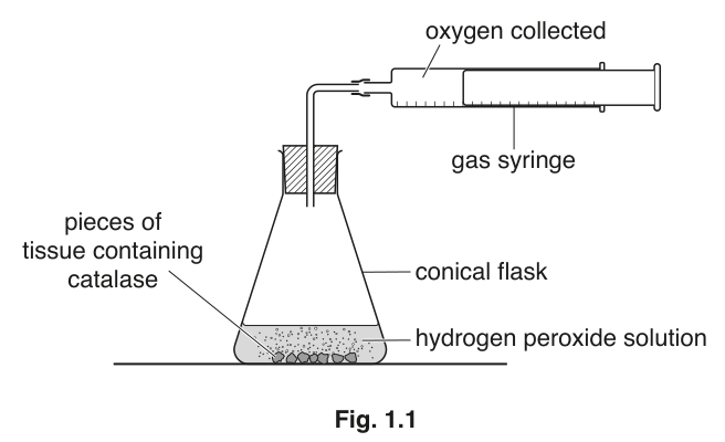 Fig. 1.1