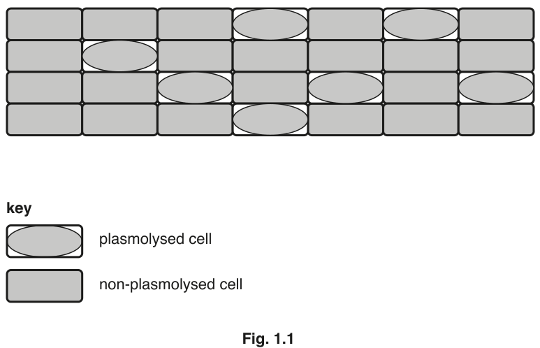Fig. 1.1