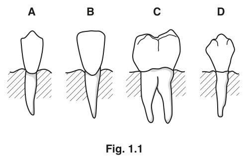 Fig. 1.1