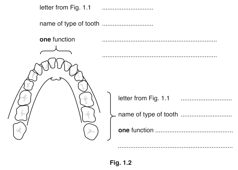 Fig. 1.2