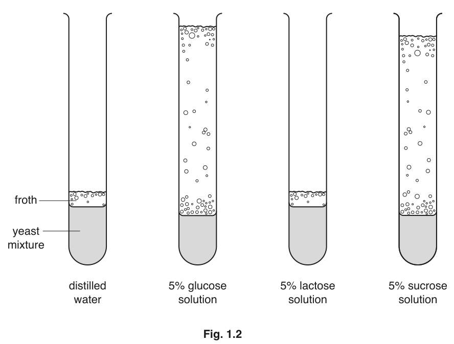 Fig. 1.2