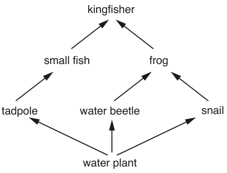 Fig. 1.1