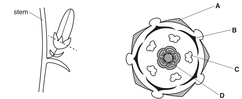 Fig. 1.1