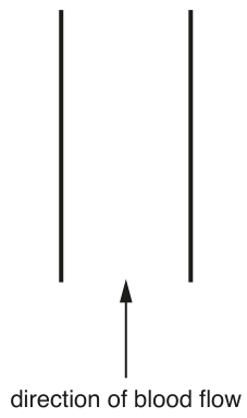 Fig. 1.1