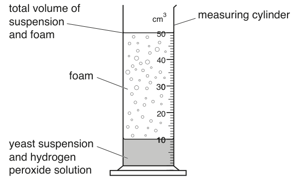 Fig. 1.1