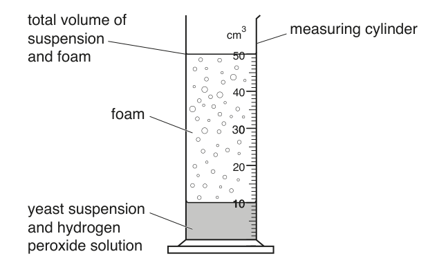 Fig. 1.1