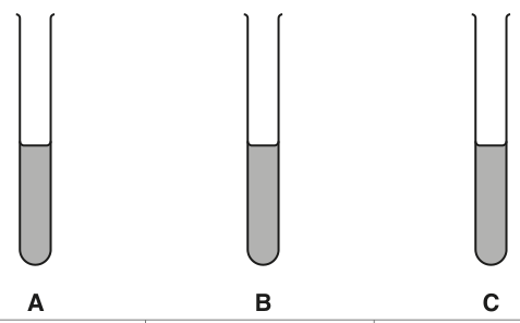 Fig. 1.1