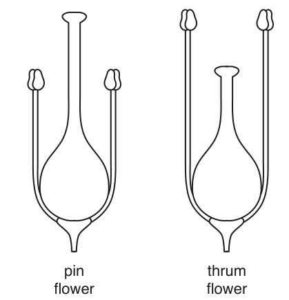 Fig. 1.1