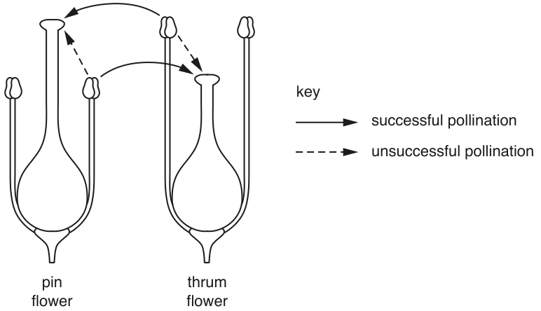 Fig. 1.2