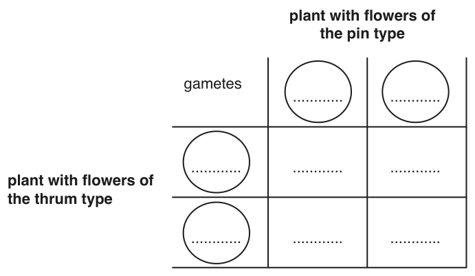 Fig. 1.3