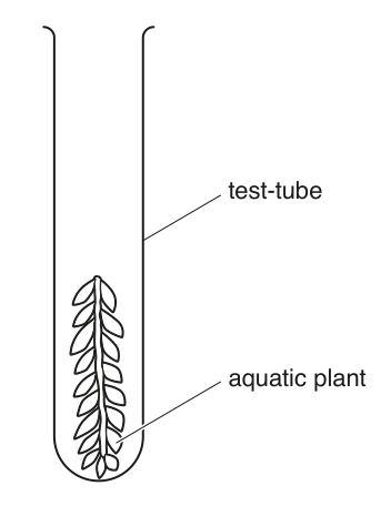 Fig. 1.1