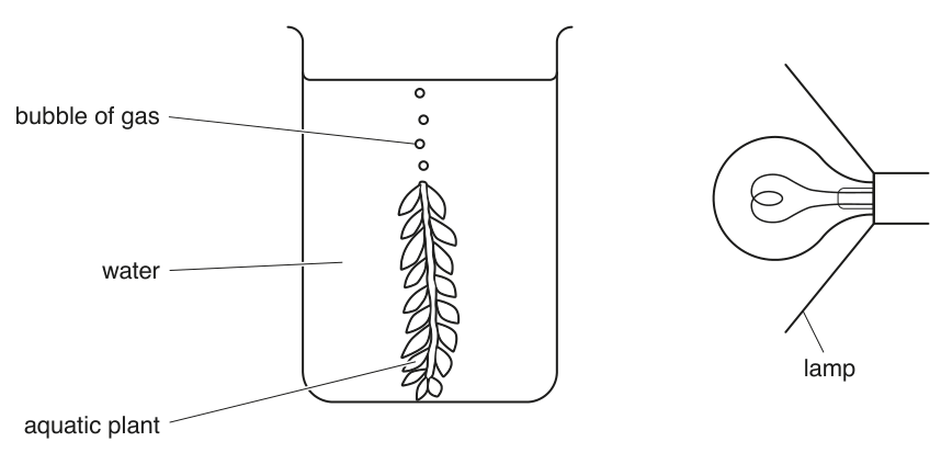 Fig. 1.2