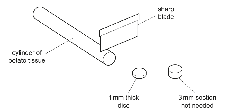 Fig. 1.1