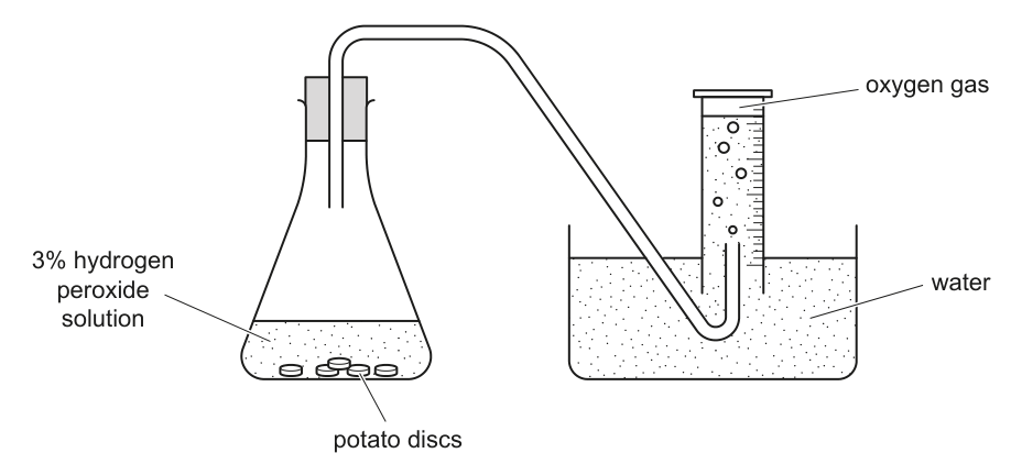 Fig. 1.2