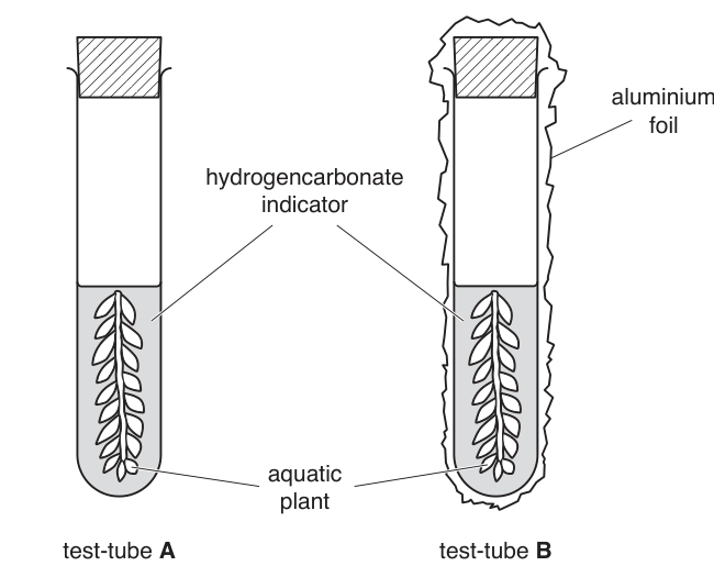 Fig. 1.1